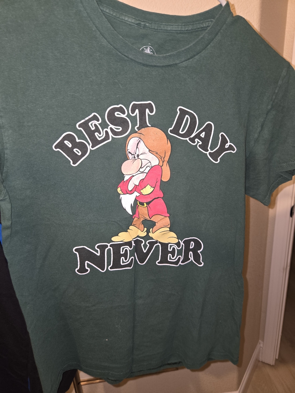 Disney Forest Green Short Sleeve Tee with Grumpy Dwarf "Best Day Never"